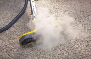 steam clean the carpet